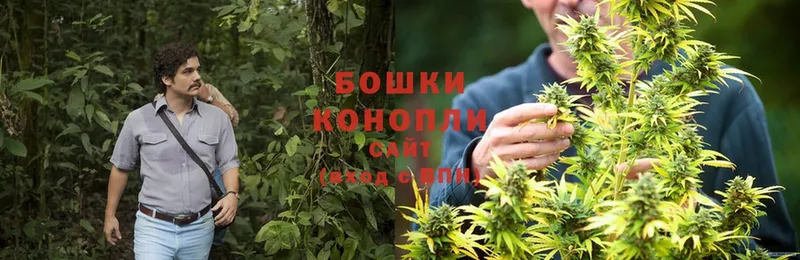 Канабис Bruce Banner  продажа наркотиков  Краснозаводск 